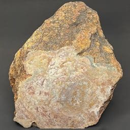 BCR410 Dinosaur Coprolite
