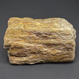 GR114 South Dakota Petrified Wood