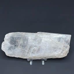 GR114 South Dakota Petrified Wood