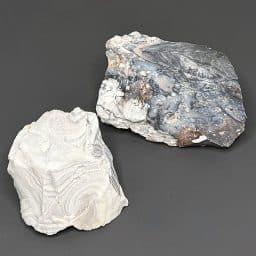 BCR409 Parral Jasper