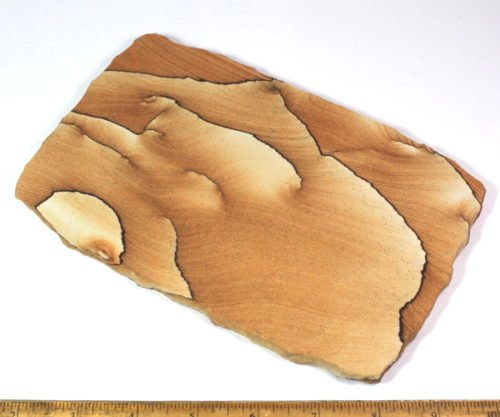 Picture Sandstone slab from Arizona