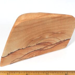 Picture Sandstone specimen from Arizona