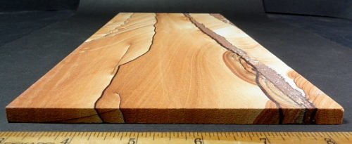 Picture Sandstone slab from Arizona