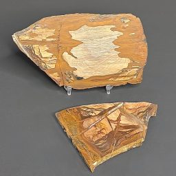 SL102 Biggs Jasper