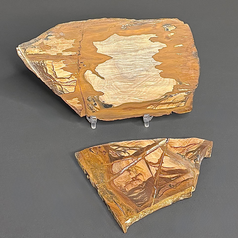 SL102 Biggs Jasper