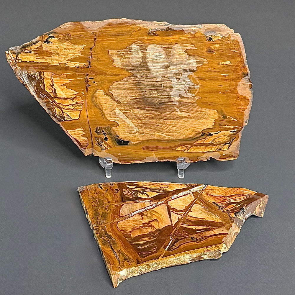 SL102 Biggs Jasper