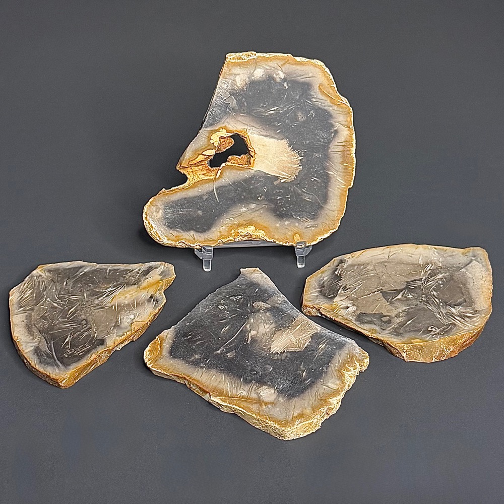 SL104 Petrified Palmwood Set of 4