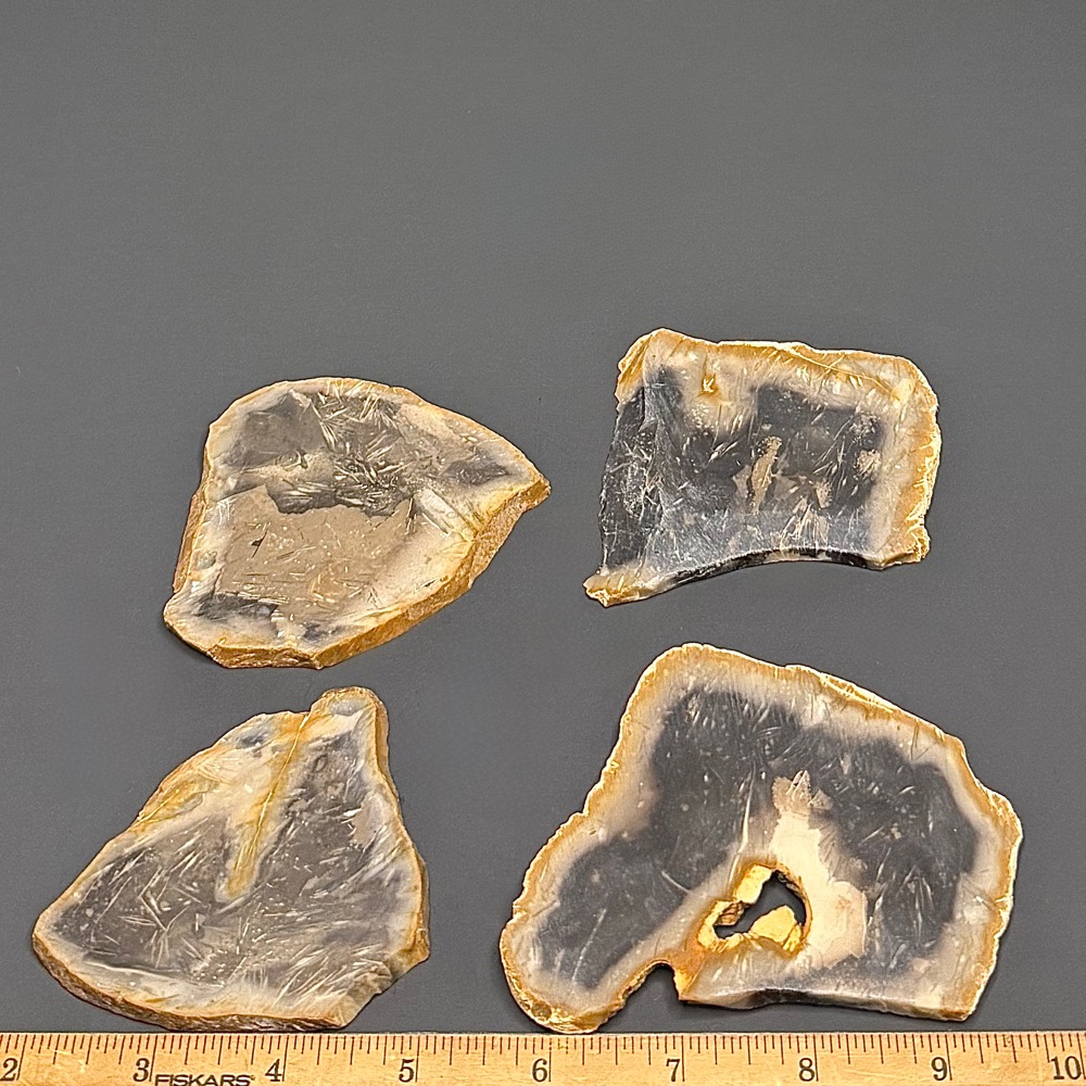 SL104 Petrified Palmwood Set of 4 - Image 2