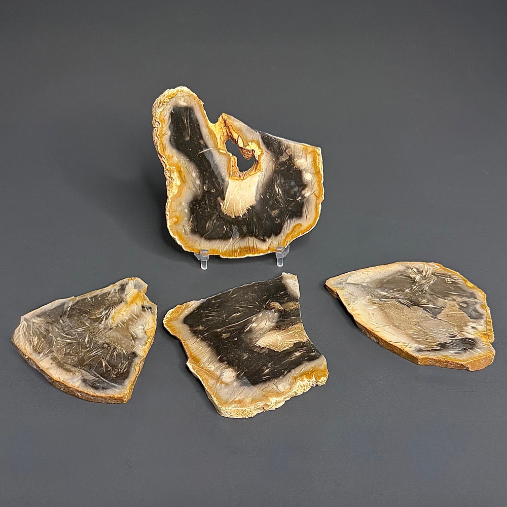 SL104 Petrified Palmwood Set of 4