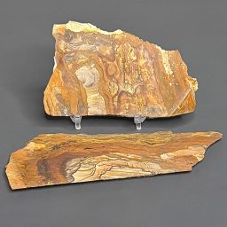 SL305 Biggs Jasper