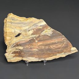 SL306 Mystery Jasper