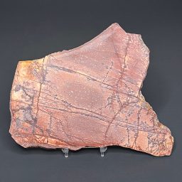 SL200 Dynasty Jasper