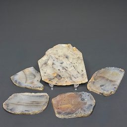 SL201 Montana Moss Agate Set