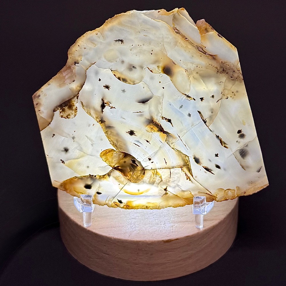 SL201 Montana Moss Agate Set