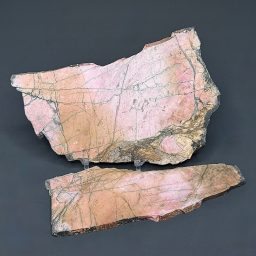 SL202 Rhodonite