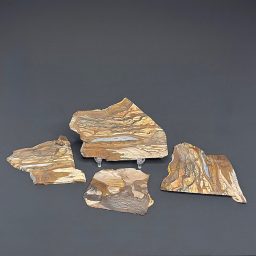 SL305 Biggs Jasper