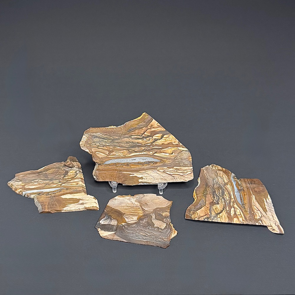 SL305 Biggs Jasper