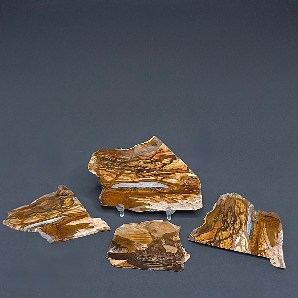 SL305 Biggs Jasper - Image 3