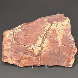 SL200 Dynasty Jasper