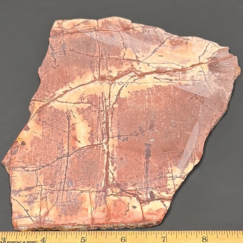 SL200 Dynasty Jasper - Image 2