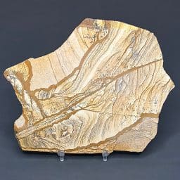 SL206 Picture Jasper