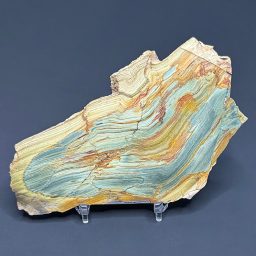 SL204 Grey Green Jasper Petrified Bog Wood