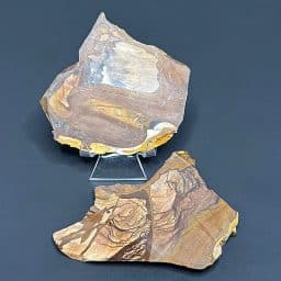 SL305 Biggs Jasper