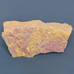 BCR415 Coquina Jasper