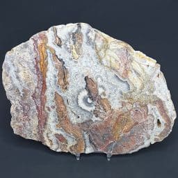 SL106 Mexican Lace Agate