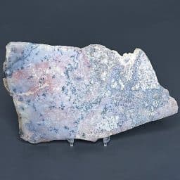 SL206 Dendritic Jasper