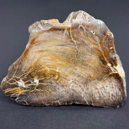 PW101 South Dakota Petrified Wood