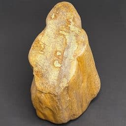 PW109 Indonesian Petrified Wood