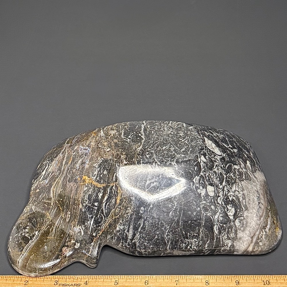 PR1123 Fossil Dish - Image 2