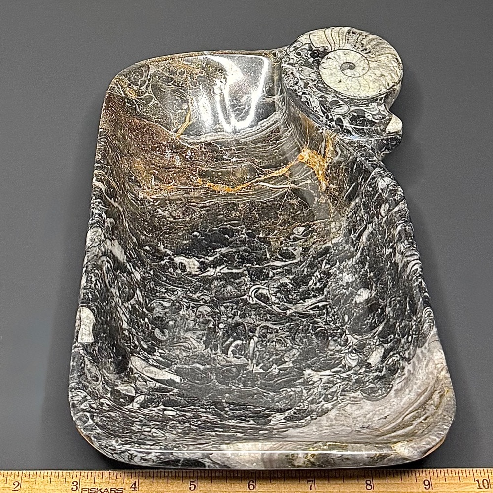 PR1123 Fossil Dish - Image 3