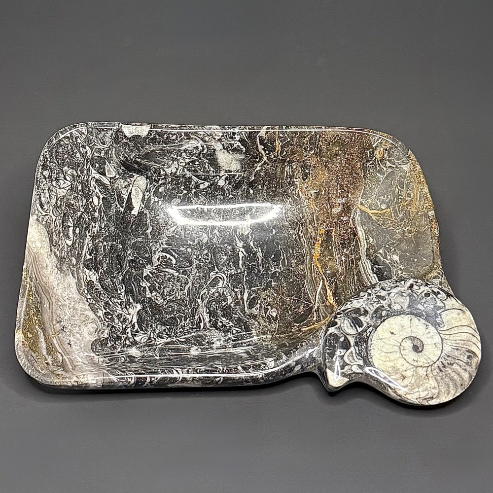 PR1123 Fossil Dish