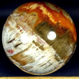 Gal719 Petrified Wood Sphere