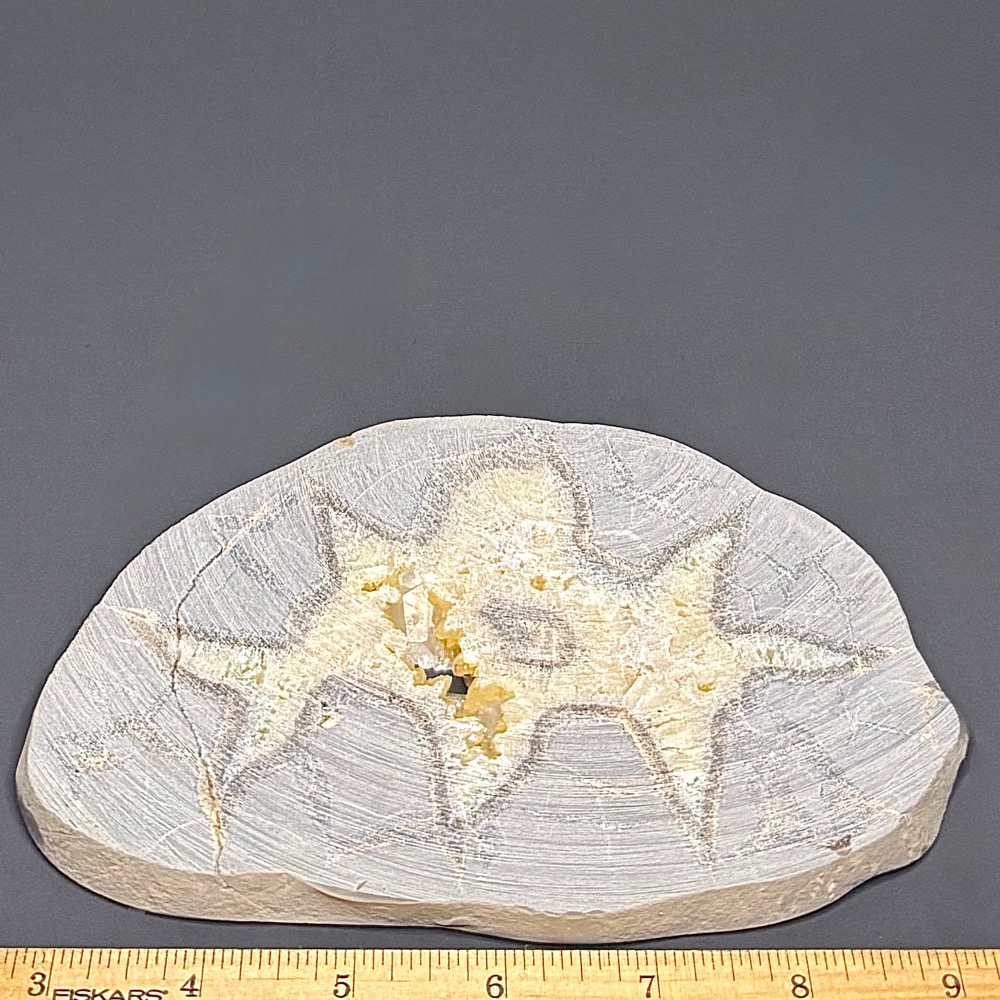 SEP400 Septarian Slab - Image 2