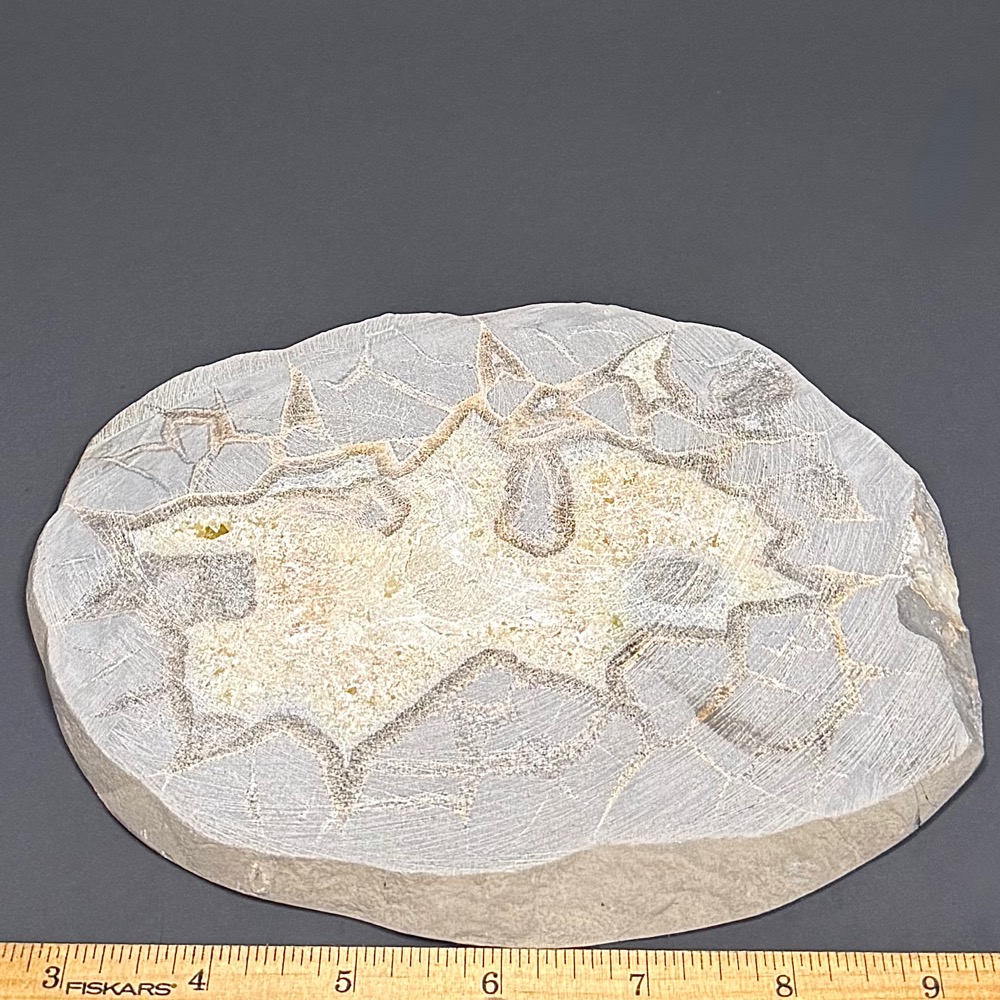 PR510 Septarian Slab - Image 2