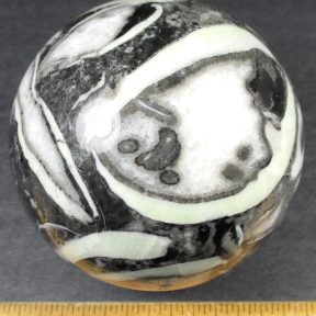 SP313 Fossil Shell Marble