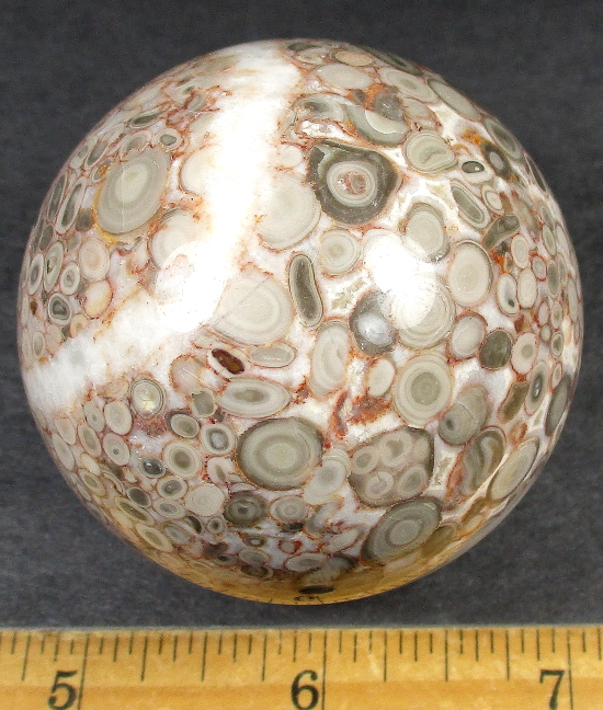 SP218 Crinoid Sphere