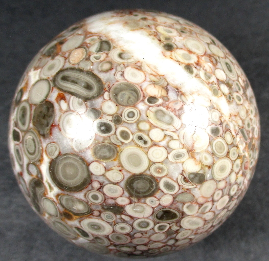 SP218 Crinoid Sphere