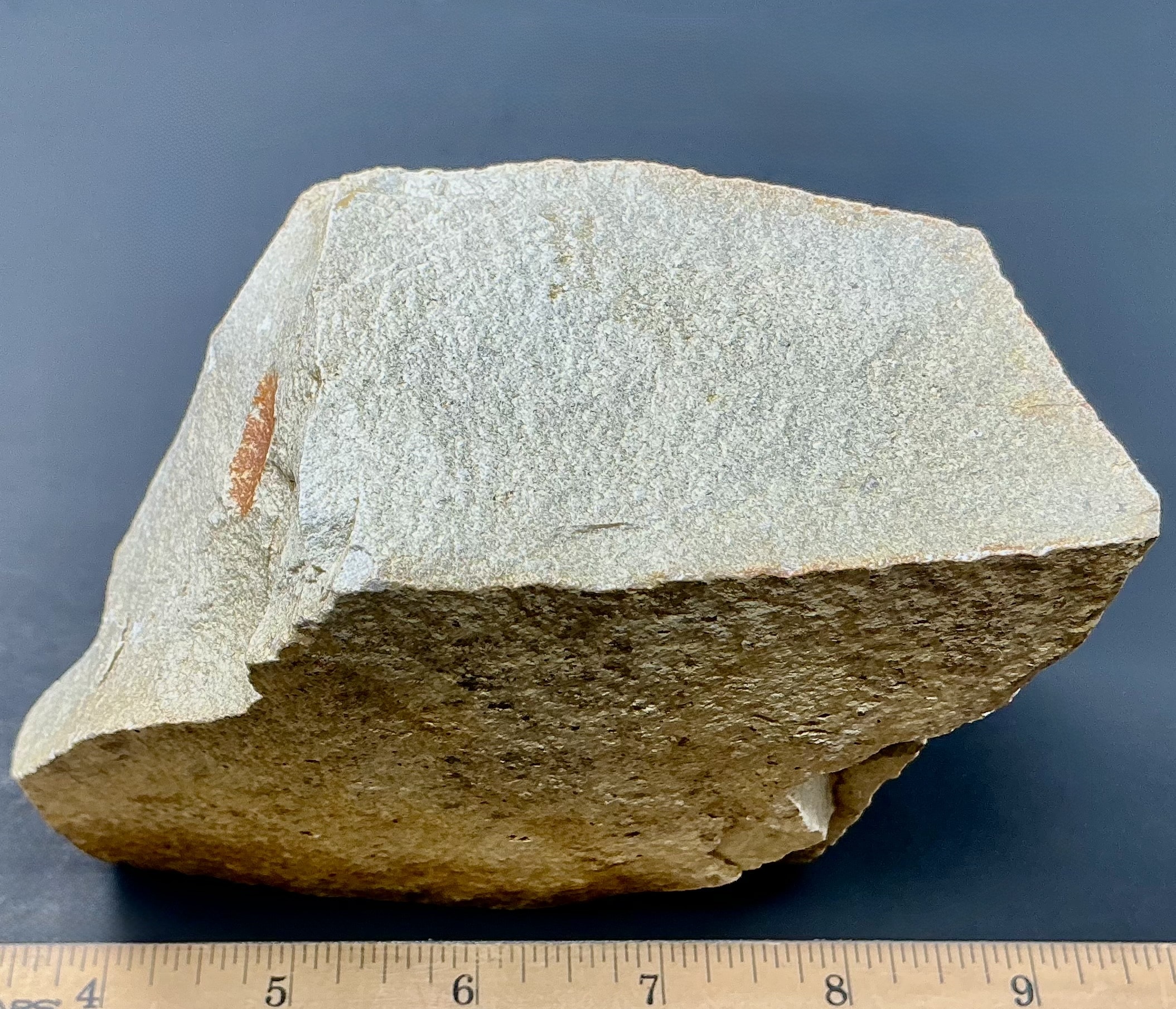 GR122 Dendritic Limestone - The Rock Shed