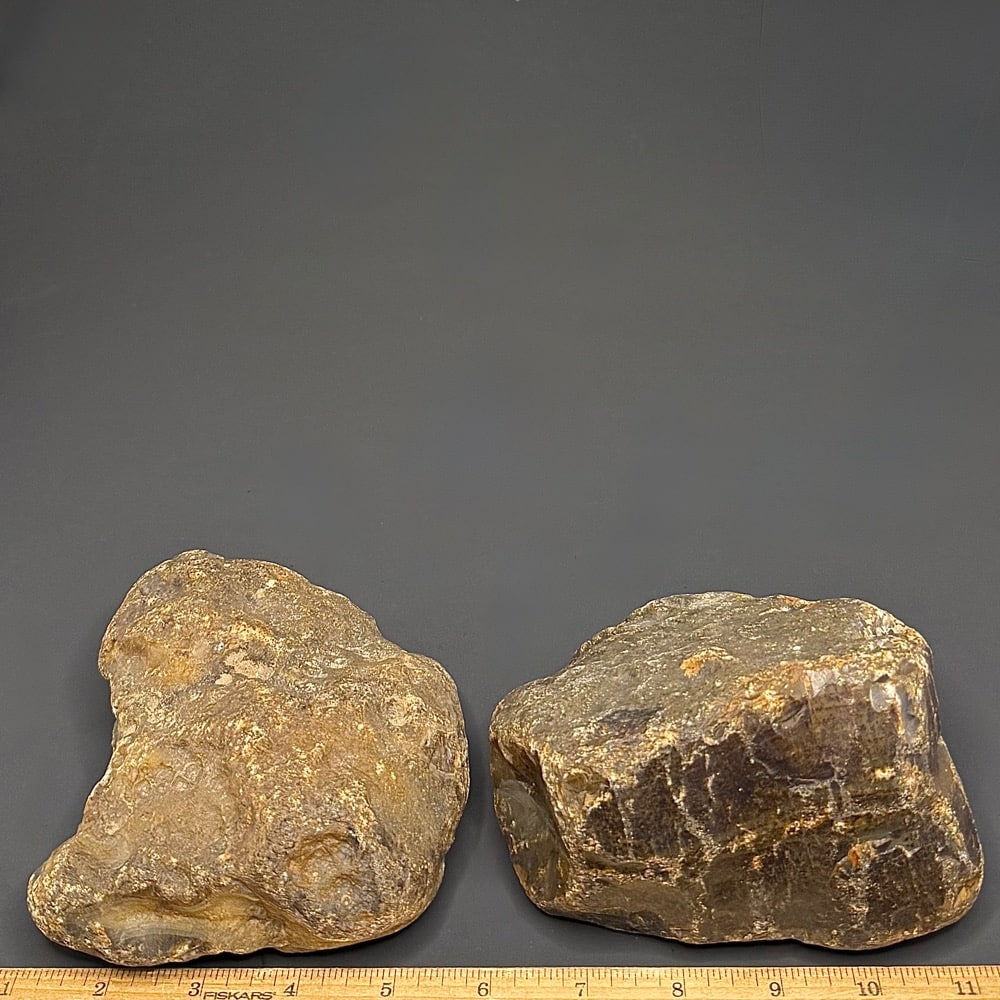 BCR321 Black Skin Agate - Image 2