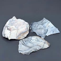 BCR409 Parral Jasper
