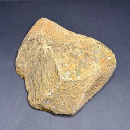 BCR407 Fruit Jasper